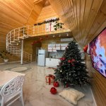 Kirayə (günlük) 3 otaqlı Həyət evi/villa Qəbələ 7