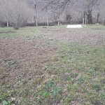 Satılır Torpaq Qəbələ 5