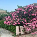 Satılır 6 otaqlı Həyət evi/villa Sumqayıt 8