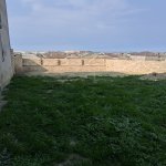 Satılır Torpaq, Saray, Abşeron rayonu 2
