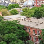 Kirayə (aylıq) 1 otaqlı Yeni Tikili, 28 May metrosu, Nərimanov rayonu 8
