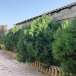 Satılır 8 otaqlı Həyət evi/villa, Sulutəpə qəs., Binəqədi rayonu 2