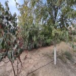 Satılır Torpaq, Maştağa qəs., Sabunçu rayonu 6