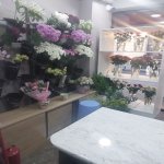 Kirayə (aylıq) Obyekt, Nizami metrosu, Yasamal rayonu 6