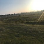 Satılır Torpaq Xaçmaz 2