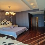Kirayə (aylıq) 4 otaqlı Yeni Tikili, 28 May metrosu, Nəsimi rayonu 12