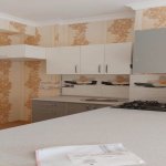 Kirayə (aylıq) 2 otaqlı Yeni Tikili, Nəriman Nərimanov metrosu, Nərimanov rayonu 8