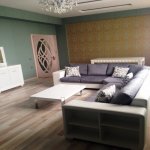 Kirayə (aylıq) 3 otaqlı Yeni Tikili, Nəriman Nərimanov metrosu, Nərimanov rayonu 9