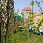 Продажа Участок, Сарай, Абшерон район 3