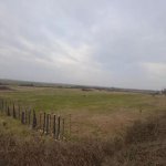 Satılır Torpaq Lənkəran 4