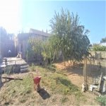 Satılır Torpaq, Şağan, Xəzər rayonu 2