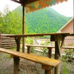 Посуточно 5 комнатная Дома/Виллы Гах 4