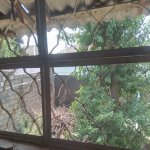 Kirayə (aylıq) 2 otaqlı Həyət evi/villa, Zabrat qəs., Sabunçu rayonu 1