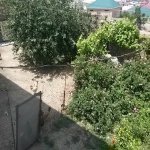 Satılır 6 otaqlı Həyət evi/villa, Hökməli, Abşeron rayonu 21