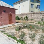 Kirayə (aylıq) 3 otaqlı Bağ evi, Novxanı, Abşeron rayonu 1