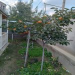 Satılır Həyət evi/villa, Abşeron rayonu 19