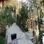 Satılır 5 otaqlı Həyət evi/villa, Zığ qəs., Suraxanı rayonu 1