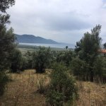 Satılır 1 otaqlı Xarici Əmlak 2