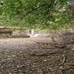 Satılır 3 otaqlı Həyət evi/villa Tərtər 9