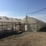 Satılır Torpaq, Dədə Qorqud qəs., Suraxanı rayonu 2