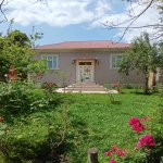 Kirayə (günlük) 4 otaqlı Həyət evi/villa Qəbələ 6