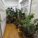 Продажа 3 комнатная Вторичка, пос. А.Асланов, Хетаи район 11