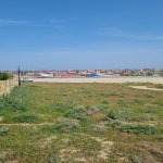 Satılır Torpaq, Saray, Abşeron rayonu 1