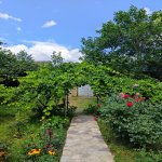 Kirayə (günlük) 3 otaqlı Yeni Tikili Qəbələ 9