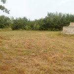 Satılır Torpaq Qusar 10
