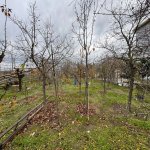 Satılır Torpaq, Buzovna, Xəzər rayonu 3
