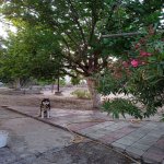 Kirayə (aylıq) 3 otaqlı Bağ evi, Novxanı, Abşeron rayonu 3