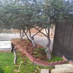 Satılır 3 otaqlı Həyət evi/villa, Novxanı, Abşeron rayonu 6