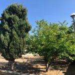 Satılır 3 otaqlı Həyət evi/villa, Bilgəh qəs., Sabunçu rayonu 18