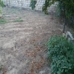 Satılır Torpaq, Masazır, Abşeron rayonu 4