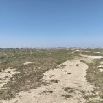 Продажа Участок, Новханы, Абшерон район 4