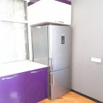 Kirayə (aylıq) 2 otaqlı Yeni Tikili, Əhmədli metrosu, Xətai rayonu 10