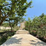 Satılır 7 otaqlı Həyət evi/villa Şamaxı 8