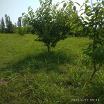 Satılır Torpaq Xaçmaz 6