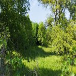 Satılır Torpaq Quba 11