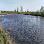 Продажа Участок Хачмаз 84