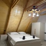 Kirayə (günlük) 5 otaqlı Həyət evi/villa Qəbələ 12