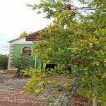 Продажа 10 комнатная Дома/Виллы, Сарай, Абшерон район 3