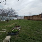 Satılır Torpaq Qəbələ 1