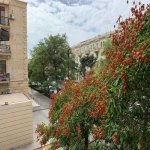 Kirayə (aylıq) 4 otaqlı Köhnə Tikili, Elmlər akademiyası metrosu, Yasamal rayonu 11