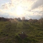Satılır Torpaq, Maştağa qəs., Sabunçu rayonu 3