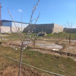 Satılır Torpaq, Koroğlu metrosu, Maştağa qəs., Sabunçu rayonu 5