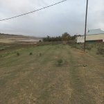 Satılır Torpaq, Saray, Abşeron rayonu 6