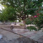 Kirayə (aylıq) 3 otaqlı Bağ evi, Novxanı, Abşeron rayonu 3
