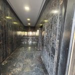Kirayə (aylıq) 2 otaqlı Yeni Tikili, Nəriman Nərimanov metrosu, Montin qəs., Nərimanov rayonu 4