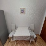 Kirayə (aylıq) 3 otaqlı Yeni Tikili, Gənclik metrosu, Nəsimi rayonu 10
